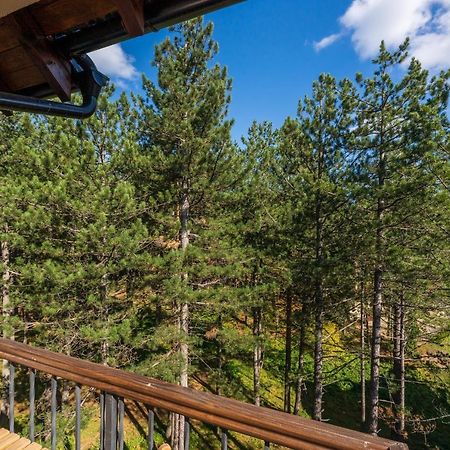 Apartment Grey Mountain Златибор Экстерьер фото