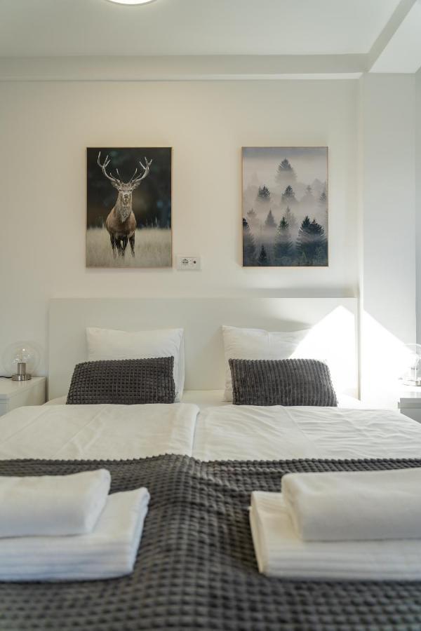 Apartment Grey Mountain Златибор Экстерьер фото